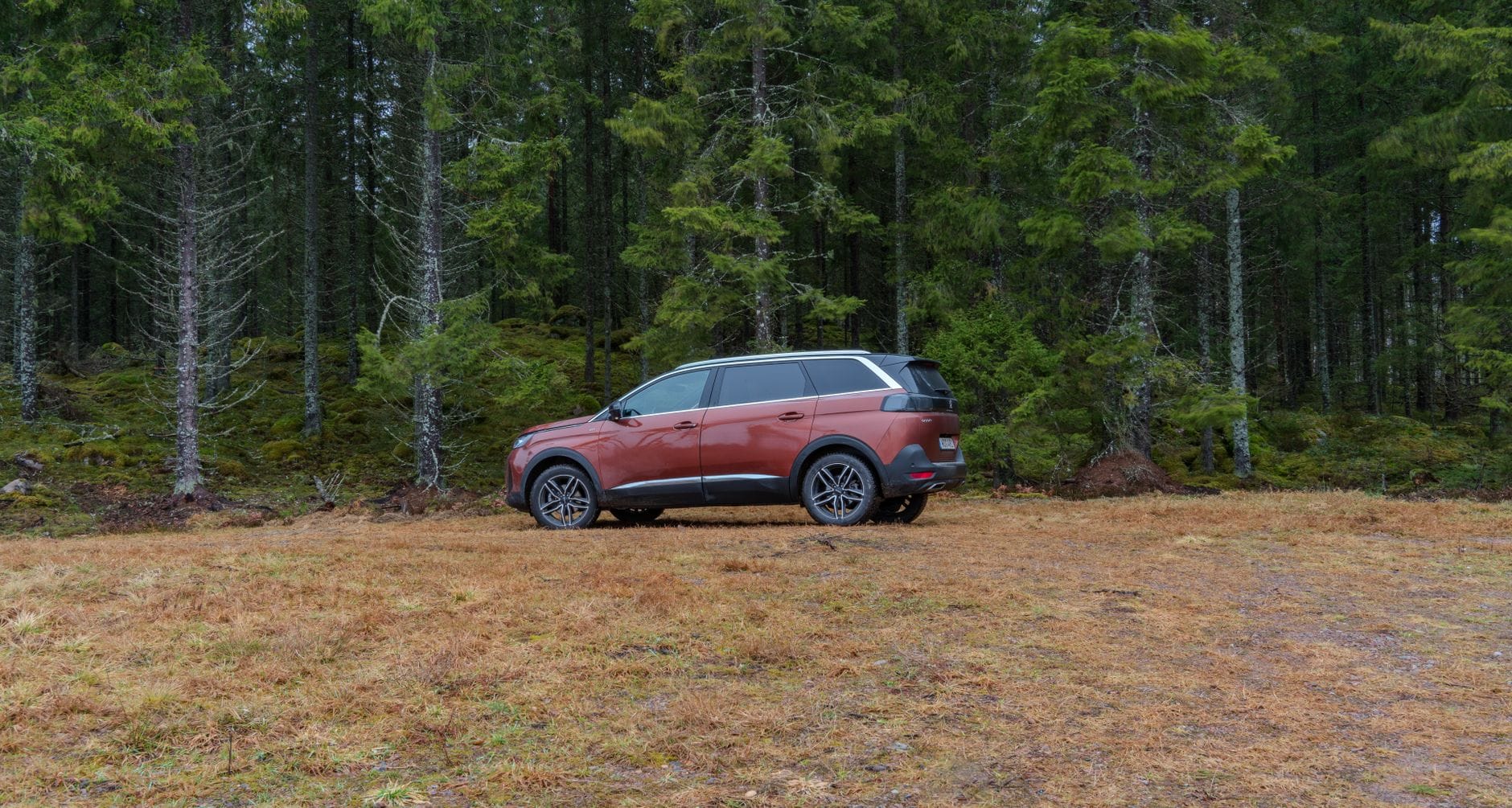 Subaru Outback czy Forester na rodzinne trasy? Czerwony SUV Subaru zaparkowany na trawie w lesie iglastym